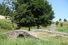 DSC05501