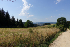 DSC05580