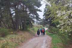 IMG-20260422-WA0005