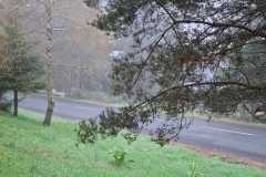 IMG-20260423-WA0000