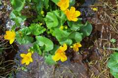 IMG-20260423-WA0007