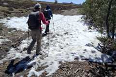 IMG-20260424-WA0012