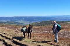 IMG-20260424-WA0013