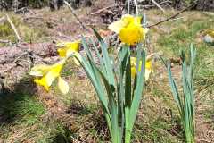 IMG-20260424-WA0014