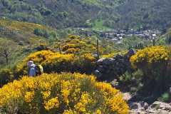 IMG-20260424-WA0015
