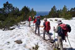 IMG-20260424-WA0017