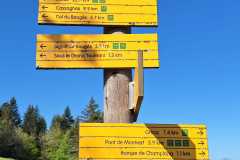 IMG-20260425-WA0010