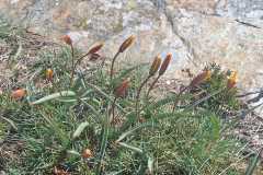IMG-20260425-WA0012