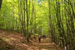 IMG-20260425-WA0014