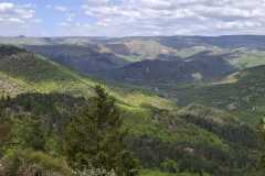 IMG-20260426-WA0002