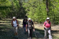 IMG-20260427-WA0026