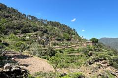 IMG-20260427-WA0028