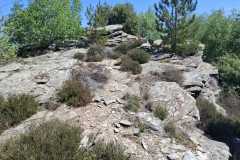 IMG-20260428-WA0000
