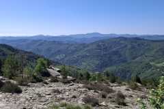 IMG-20260428-WA0003