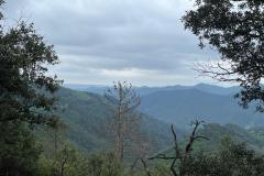 IMG-20260428-WA0011