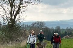 IMG-20250425-WA0013