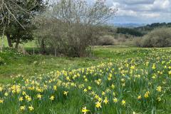 IMG-20250427-WA0010