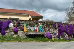 IMG-20250427-WA0012