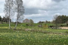IMG-20250427-WA0014