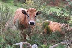 IMG-20250429-WA0011