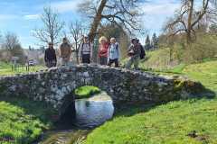 IMG-20250429-WA0018