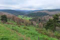 IMG-20250429-WA0019