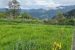 IMG-20250504-WA0004