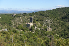 DSC06016