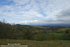 DSC08395
