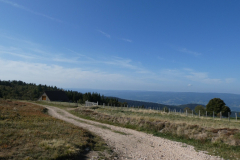 Forez-10