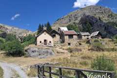 IMG-20250722-WA0001