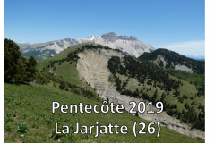 Image1