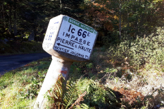 Forez45