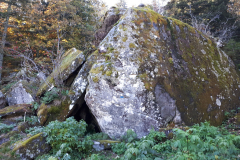 Forez47