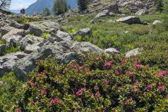Le-Monetier-2026-06