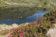 Le-Monetier-2026-28