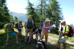 Le-Noyer-2019-05