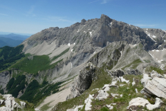 Le-Noyer-2019-07