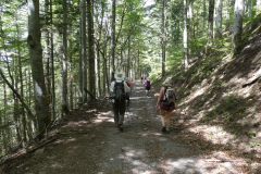 Le-Noyer-2019-08