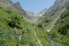 Le-Noyer-2019-10