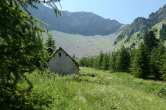 Le-Noyer-2019-15
