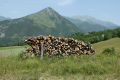 Le-Noyer-2019-17
