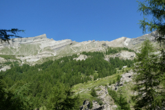 Le-Noyer-2019-18
