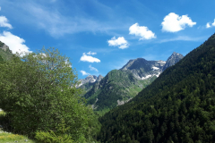 Le-Noyer-2019-47