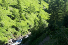 Le-Noyer-2019-52