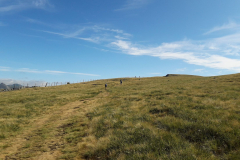 Tour-du-cantal-2019-05