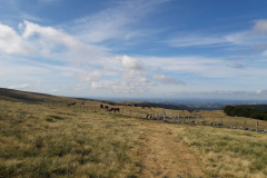 Tour-du-cantal-2019-06