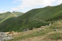 Tour-du-cantal-2019-30