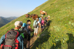 Tour-du-cantal-2019-32