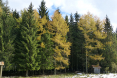 Les Estables 2018 41